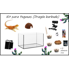 Kit completo para pogonas (Dragón barbudo) Kit completo para pogonas (Dragón barbudo)
